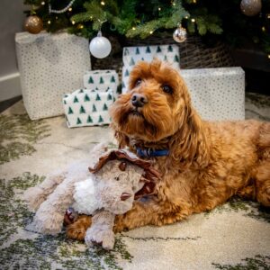 Rosewood Cupid & Comet Dasher Dino Festive Plush Dinosaur Dog Toy