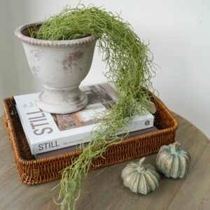 Trailing Faux Spanish Moss