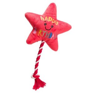Birthday Star Balloon Rope Dog Toy